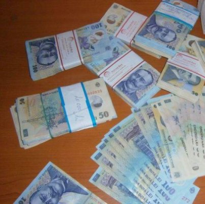 Marga cere suplimentarea bugetului ICR cu peste 15 milioane de lei la rectificare